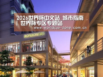 案例展示一(图1)