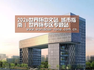 案例展示四