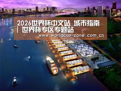 案例展示八