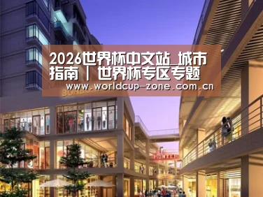 案例展示一