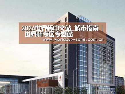 案例展示七