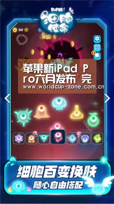 世界杯直播
