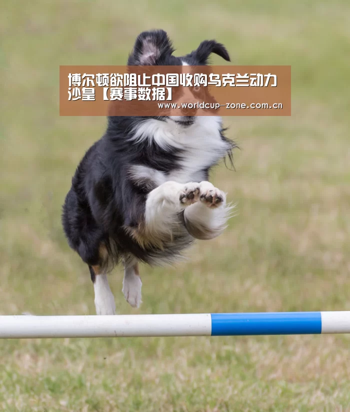 赛事数据